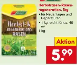 Netto Marken-Discount Garten Magie Herbstrasen-Rasenregeneration Angebot