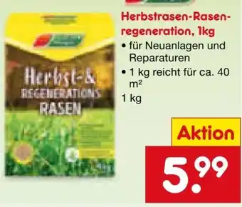 Netto Marken-Discount Garten Magie Herbstrasen-Rasenregeneration Angebot