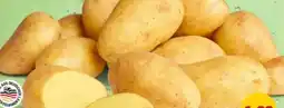 PENNY Marktliebe Speisekartoffeln Angebot