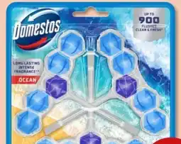 PENNY Domestos WC Stein Power 5 Ocean Angebot