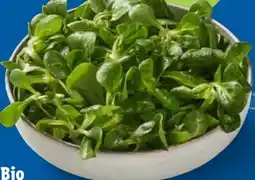 Lidl Bio-Feldsalat Angebot