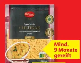 Lidl Milbona Irischer Cheddar Angebot