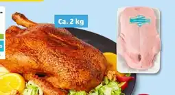 PENNY Junge Ente Angebot