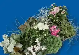 Lidl Herbstmix Angebot