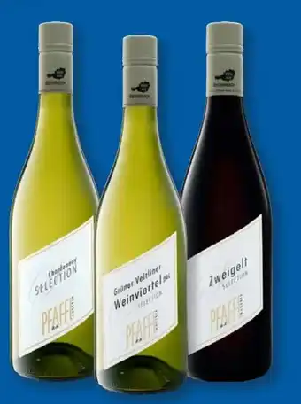 Lidl R & A Pfaffl Grüner Veltliner Selection Angebot