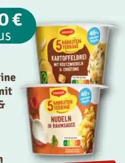 nahkauf Maggi 5 Minuten Terrine Kartoffelbrei mit Röstzwiebeln & Croutons Angebot