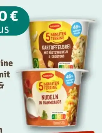 nahkauf Maggi 5 Minuten Terrine Kartoffelbrei mit Röstzwiebeln & Croutons Angebot