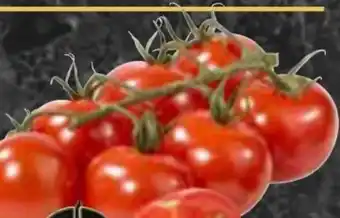 AEZ Gourmet Hit Cocktailstrauchtomaten Angebot