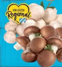 E-Center Champignons Angebot