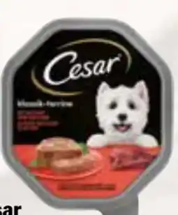 AEZ Cesar Hundefutter Angebot
