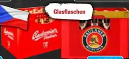AEZ Paulaner Weißbiere Angebot