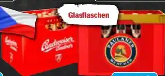 AEZ Paulaner Weißbiere Angebot
