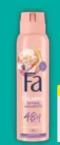 E-Center Fa Deo-Spray Angebot