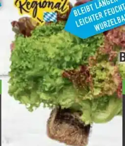 E-Center Ballensalat Trio Mix Angebot