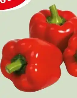 Edeka Xpress Gut & Günstig Paprika Rot Angebot