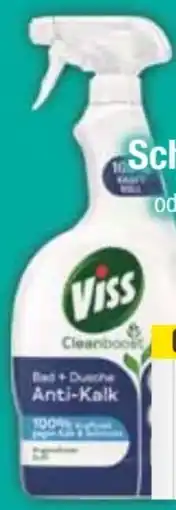 E-Center Viss Scheuermilch Angebot