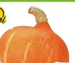Edeka Bio Speisekürbisse Hokkaido Angebot