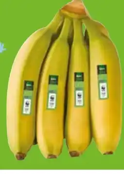 Edeka Edeka Bio Bio-Bananen Angebot