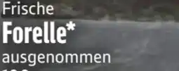 Edeka Forellen Angebot