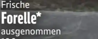 Edeka Forellen Angebot