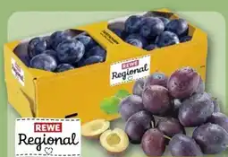 REWE Center Rewe Regional Zwetschgen Angebot