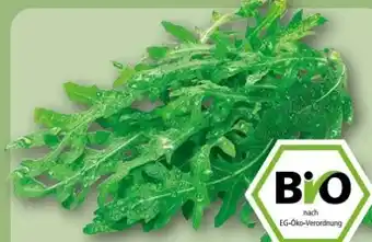 REWE Center Rewe Bio Bio-Rucola Angebot