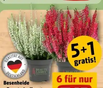 REWE Center Beauty Ladies Besenheide Angebot