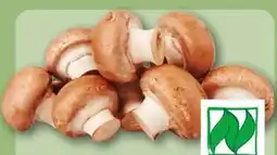 REWE Center Rewe Bio Champignons Angebot
