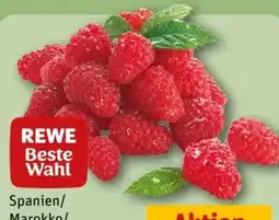 REWE Center Rewe Beste Wahl Frische Himbeeren Angebot