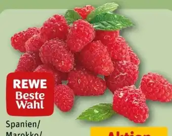 REWE Center Rewe Beste Wahl Frische Himbeeren Angebot
