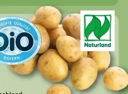 REWE Center Bio-Speisekartoffeln Angebot