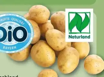 REWE Center Bio-Speisekartoffeln Angebot
