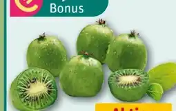 REWE Center Kiwibeeren Angebot
