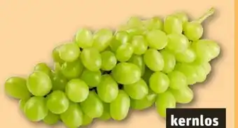 REWE Center Tafeltrauben Angebot