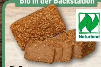 REWE Center Rewe Back-Station Bio Roggenvollkornbrot Angebot