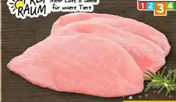 REWE Center Putenschnitzel Angebot