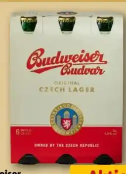 REWE Center Budweiser Budvar (CZ) Original Czech Lager Bier Angebot