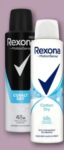 REWE Center Rexona Deospray Angebot