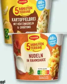 REWE Center Maggi 5 Minuten Terrine Kartoffelbrei Angebot