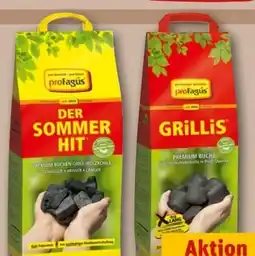REWE Center proFagus Grillholzkohle Angebot