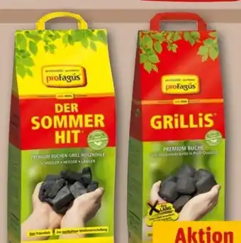REWE Center proFagus Grillholzkohle Angebot