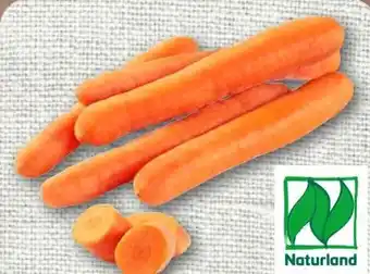 REWE Rewe Bio Bio-Speisemöhren Angebot