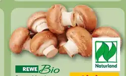 REWE Rewe Bio Champignons Angebot