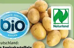 REWE Bio-Speisekartoffeln Angebot