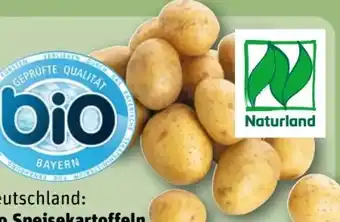 REWE Bio-Speisekartoffeln Angebot