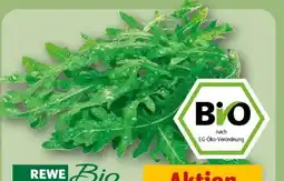 REWE Rewe Bio Bio-Rucola Angebot