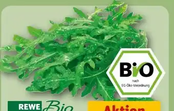 REWE Rewe Bio Bio-Rucola Angebot