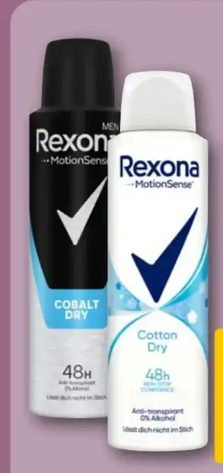 REWE Rexona Deospray Angebot