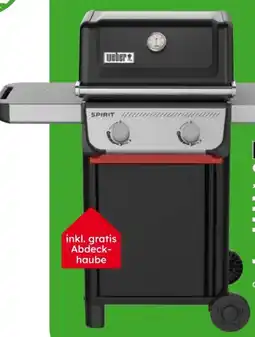 Globus Baumarkt Weber Gasgrill Spirit E-210 Angebot