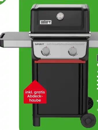Globus Baumarkt Weber Gasgrill Spirit E-210 Angebot